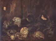 SCHRIECK, Otto Marseus van Still Life with Insects and Amphibians (mk14) oil painting on canvas
